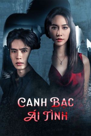 Phim Canh Bạc Tình Ái 2024